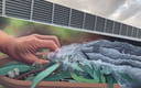 Slide thumbnail